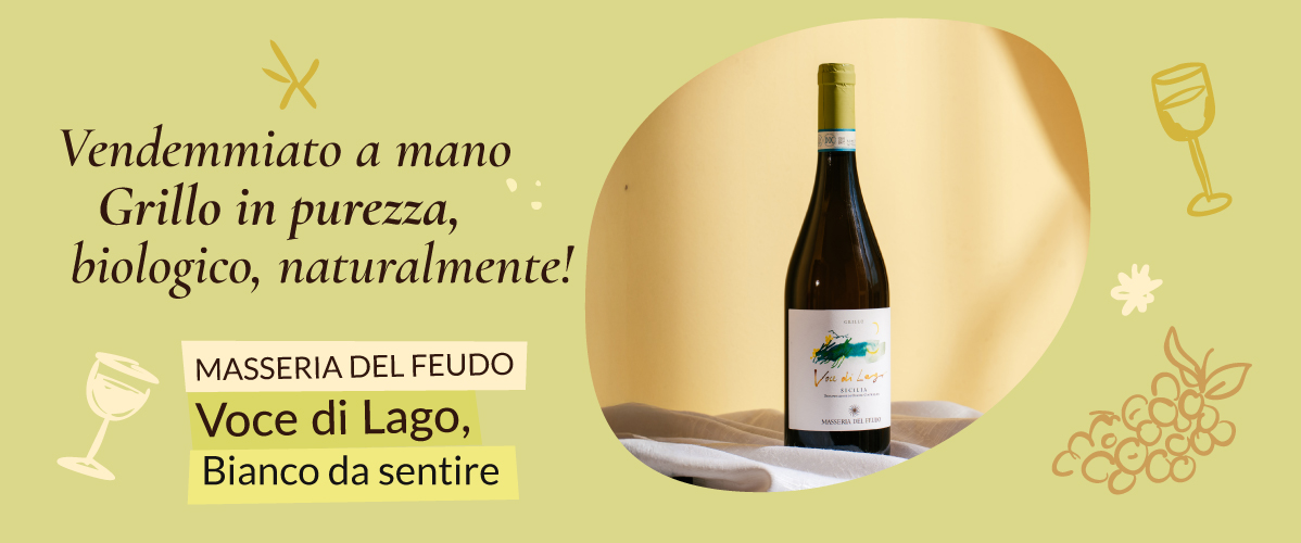 Le nostre offerte Le nostre offerte