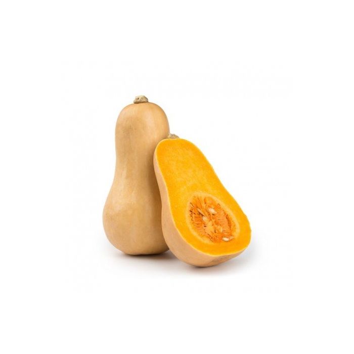 zucca-butternut-prodotto-biologico-prezzo-al-2-87-1-pz-1300-gr-c-big-1659-120