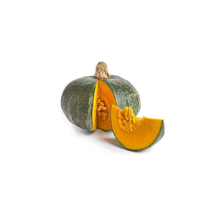 zucca-delica-selezionipv