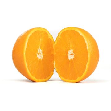 0053488
