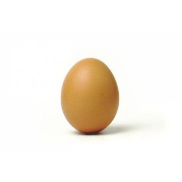 come-si-convertono-i-grammi-delle-uova_large