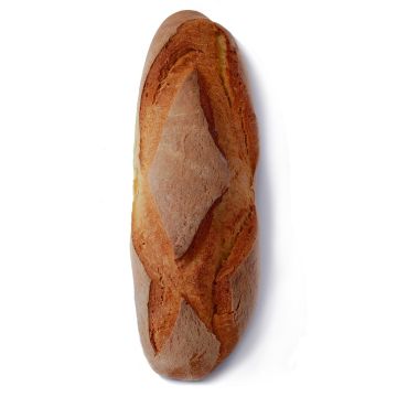 filone-di-semola