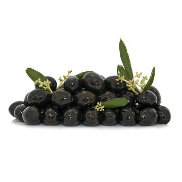 nuovo_progetto_-_2023-08-30t174743