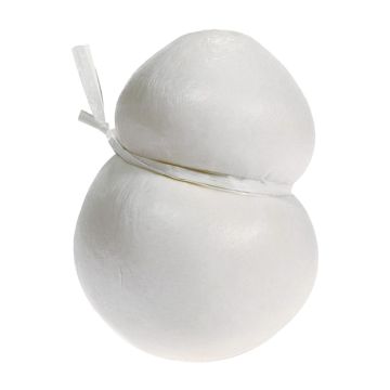 scamorza-bianca