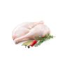 oca-coscia_1_