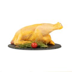 000071287-le-selezioni-p_v-pollo-ruspante-busto